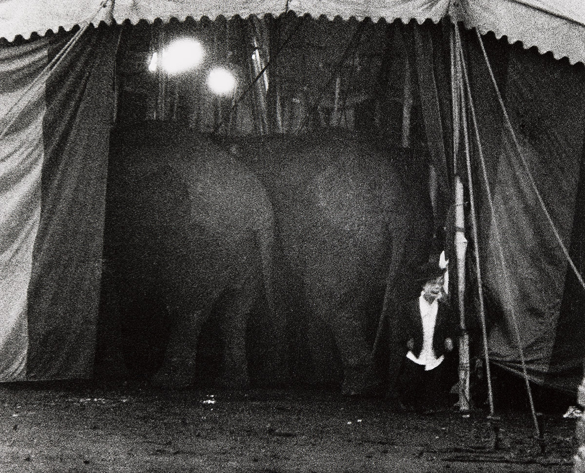 BRUCE DAVIDSON (1933- ) Circus Dwarf, Palisades.